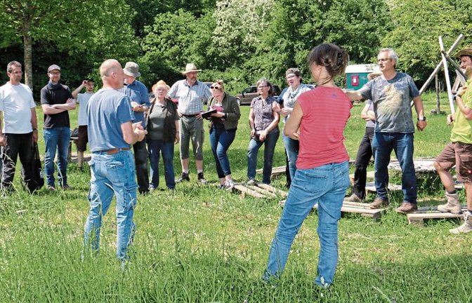 Teilnehmer aus Vaihingen, Nussdorf, Illingen, Häfnerhaslach und drumrum erlernen die traditionelle Wiesenmahd mit der Sense.  Fotos: Rücker/p