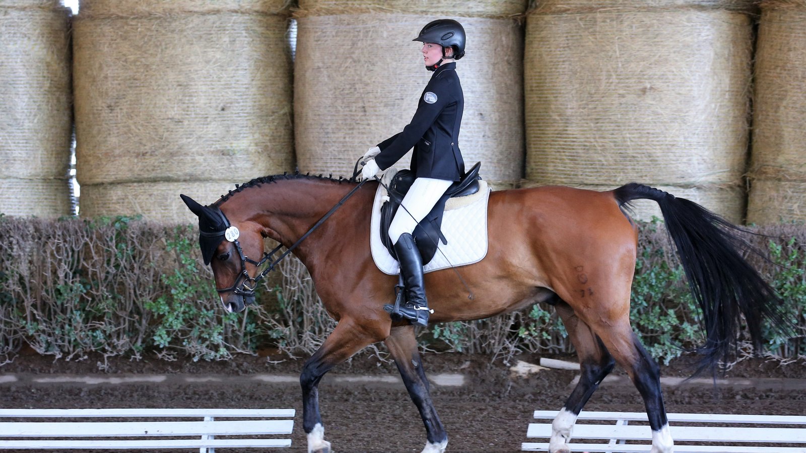 Volle Konzentration bei Ross und Reiterin: Alissa Schulz vom gastgebenden RFZV Nussdorf wird auf Charm’n’Chap Achte in der E-Dressur und Zweite in der Mannschaftswertung. Foto: Küppers