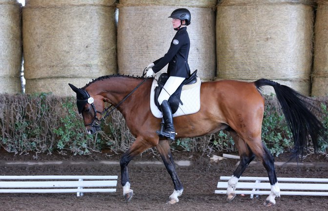 Volle Konzentration bei Ross und Reiterin: Alissa Schulz vom gastgebenden RFZV Nussdorf wird auf Charm’n’Chap Achte in der E-Dressur und Zweite in der Mannschaftswertung. <span class='image-autor'>Foto: Küppers</span>