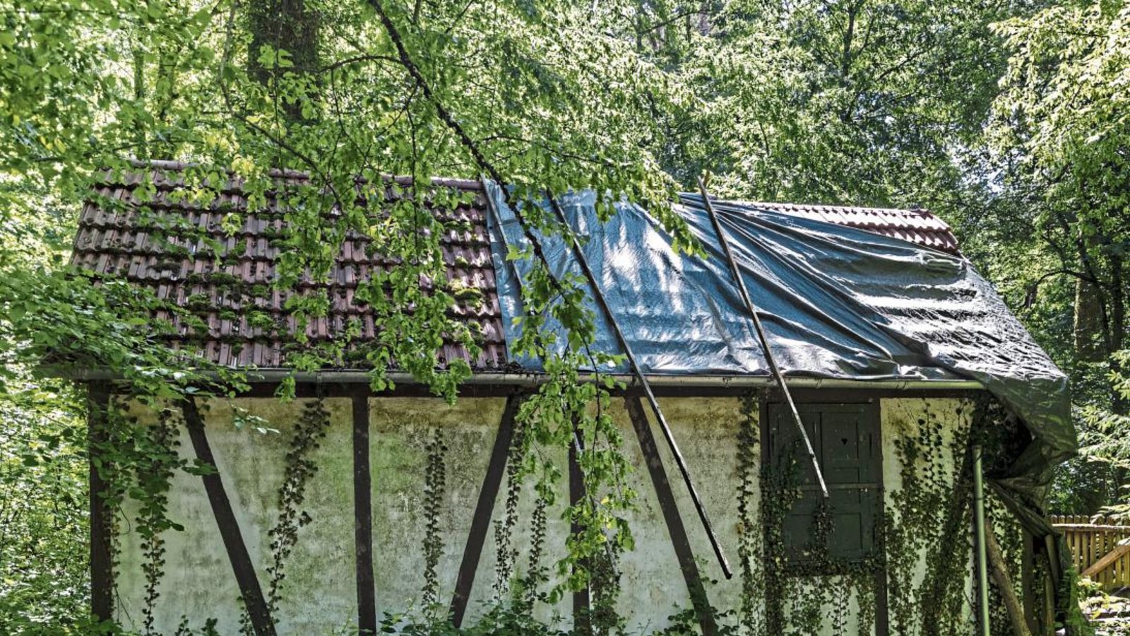 Seit im Jahr 2017 ein Baum auf das Dach des Jagdhäusles stürzte, kann es nicht mehr für Treffen genutzt werden. Der Ortschaftsrat Häfnerhaslach möchte das nun ändern. Foto: Pangerl Seit im Jahr 2017 ein Baum auf das Dach des Jagdhäusles stürzte, kann es nicht mehr für Treffen genutzt werden. Der Ortschaftsrat Häfnerhaslach möchte das nun ändern. Foto: Pangerl