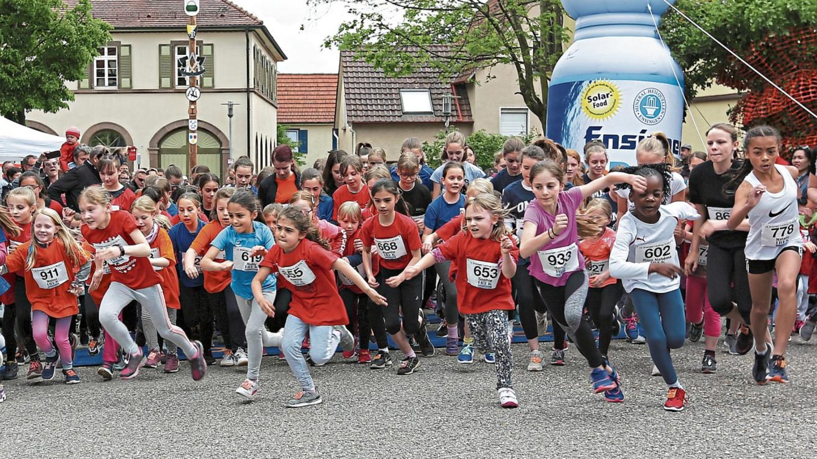 Schülerinnenlauf (Bild), Schülerlauf und Bambinilauf haben in Ensingen allein fast 500 Kinder in Bewegung gebracht. Während OB Gerd Maisch (links) noch die Startpistole hochhält, sind die Nachwuchsathleten nicht mehr zu halten. Fotos: Küppers Schülerinnenlauf (Bild), Schülerlauf und Bambinilauf haben in Ensingen allein fast 500 Kinder in Bewegung gebracht. Während OB Gerd Maisch (links) noch die Startpistole hochhält, sind die Nachwuchsathleten nicht mehr zu halten. Fotos: Küppers
