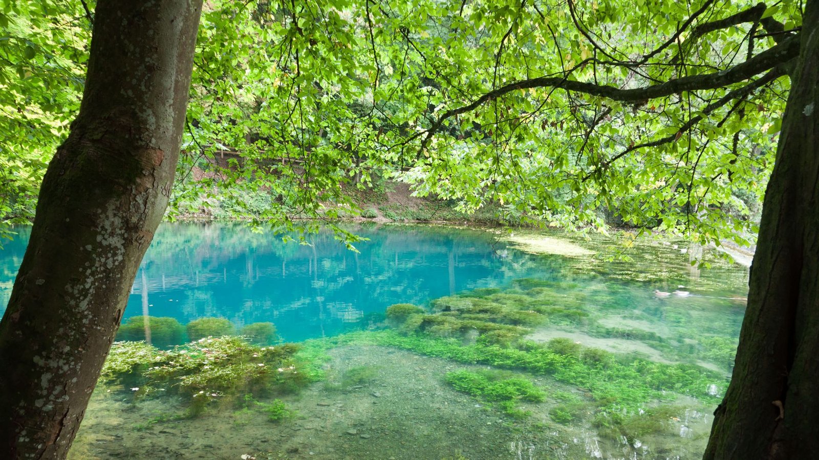 Der Blautopf in Blaubeuren ist ein begehrtes Ausflugsziel. (Archivbild)Foto: IMAGO/Pond5 Images/xWirestockx Der Blautopf in Blaubeuren ist ein begehrtes Ausflugsziel. (Archivbild)Foto: IMAGO/Pond5 Images/xWirestockx