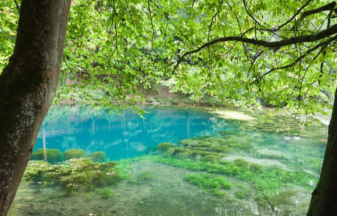 Der Blautopf in Blaubeuren ist ein begehrtes Ausflugsziel. (Archivbild)<span class='image-autor'>Foto: IMAGO/Pond5 Images/xWirestockx</span>