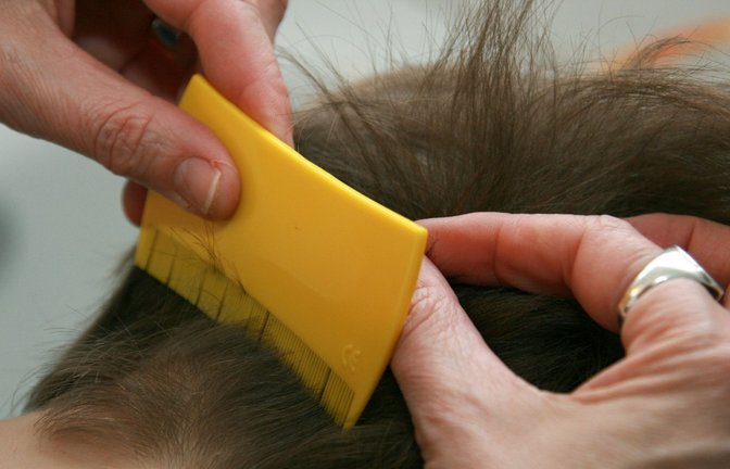 Der Lausbefall bei Kindern im Südwesten ist stark angestiegen. (Symbolbild)<span class='image-autor'>Foto: dpa/A9999 Marina Friedt</span>