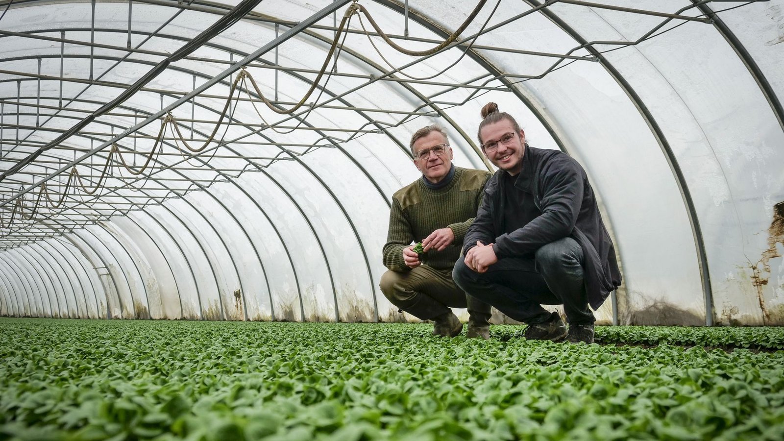 Marcus Arzt pflanzt seit 35 Jahren als Biobauer Feldsalat und Spinat an. Sein Sohn Daniel will den Betrieb übernehmen.Foto: Simon Granville