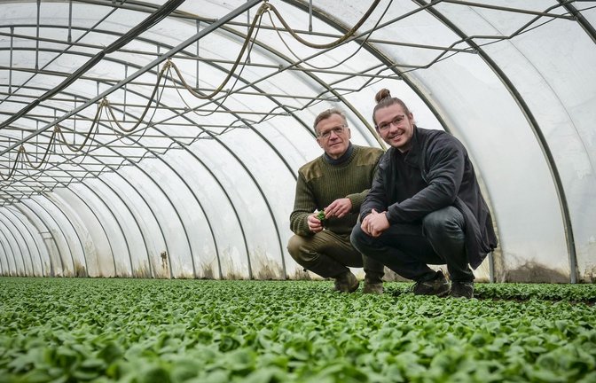 Marcus Arzt pflanzt seit 35 Jahren als Biobauer Feldsalat und Spinat an. Sein Sohn Daniel will den Betrieb übernehmen.<span class='image-autor'>Foto: Simon Granville</span>