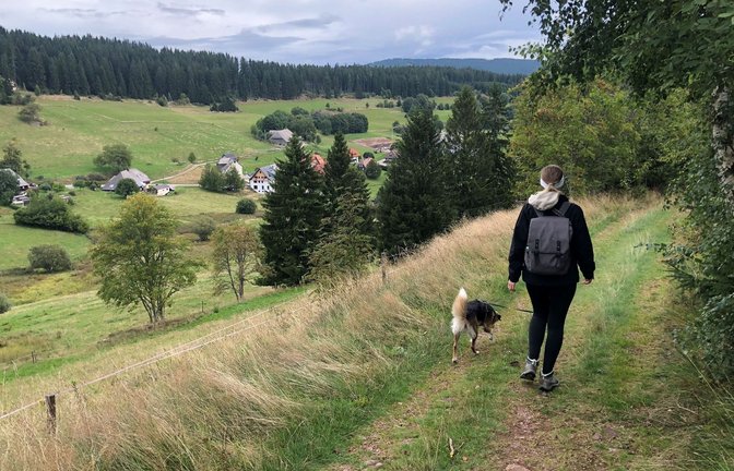 Schöne Aussichten bei der Wanderung auf dem Hochschwarzwälder Hirtenpfad.<span class='image-autor'>Foto: Jakob Panitz</span>
