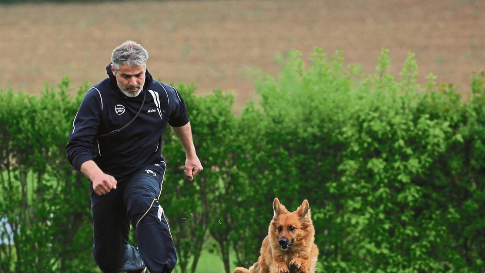 Michael Hilß schwebt parallel zu Luna über die Hürden auf dem Iptinger Hundesportplatz. Dort war das sechste Zwergbergturnier. Foto: Küppers Michael Hilß schwebt parallel zu Luna über die Hürden auf dem Iptinger Hundesportplatz. Dort war das sechste Zwergbergturnier. Foto: Küppers
