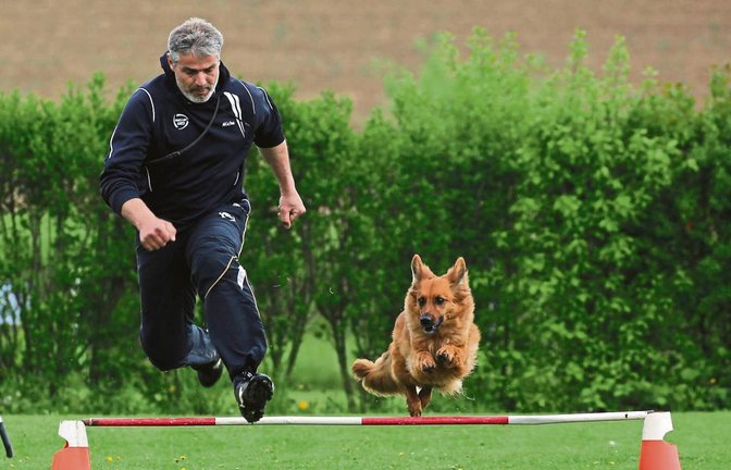 Michael Hilß schwebt parallel zu Luna über die Hürden auf dem Iptinger Hundesportplatz. Dort war das sechste Zwergbergturnier. Foto: Küppers