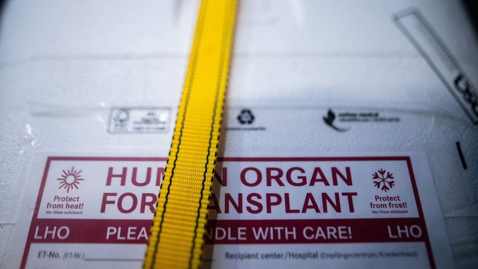Rund 8.200 Patienten stehen auf Wartelisten für Spender-Organe. (Archivbild)Foto: Sebastian Gollnow/dpa