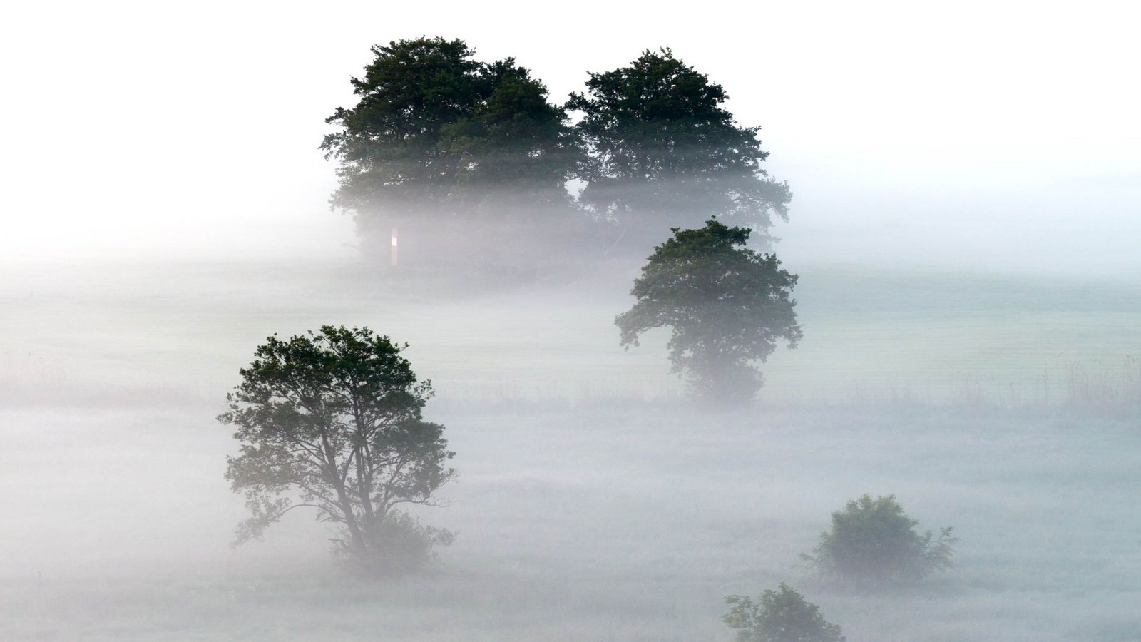 Im Norden, wie hier im Bremen, zeigte sich am Morgen dichter Nebel.Foto: Sina Schuldt/dpa