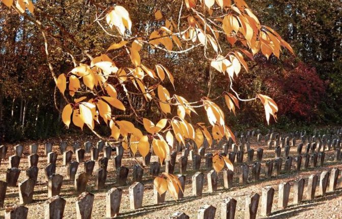 Gräber als Mahnung zum Frieden. KZ-Friedhof in Vaihingen.  Foto: Arning