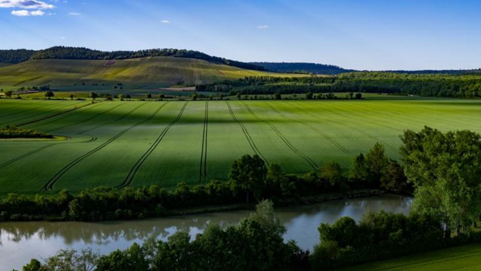Das Gewann Alleenfeld zwischen Kleinsachsenheim und Hohenhaslach. Foto: Martin Kalb