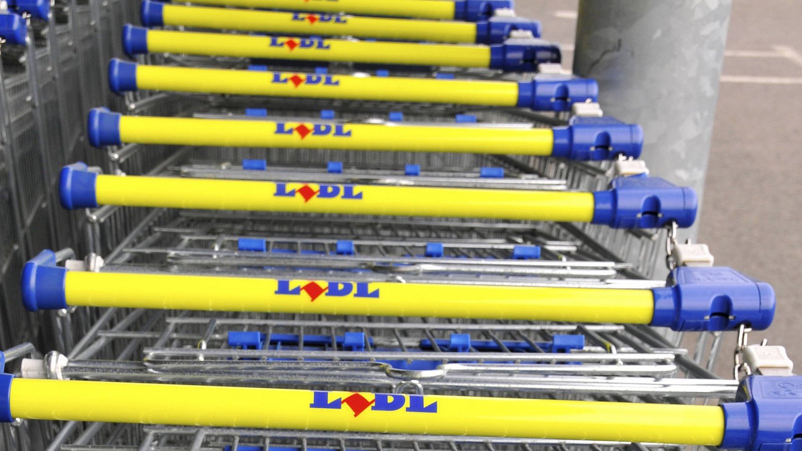 Einkauf bei Lidl.Foto: IMAGO/BSIP