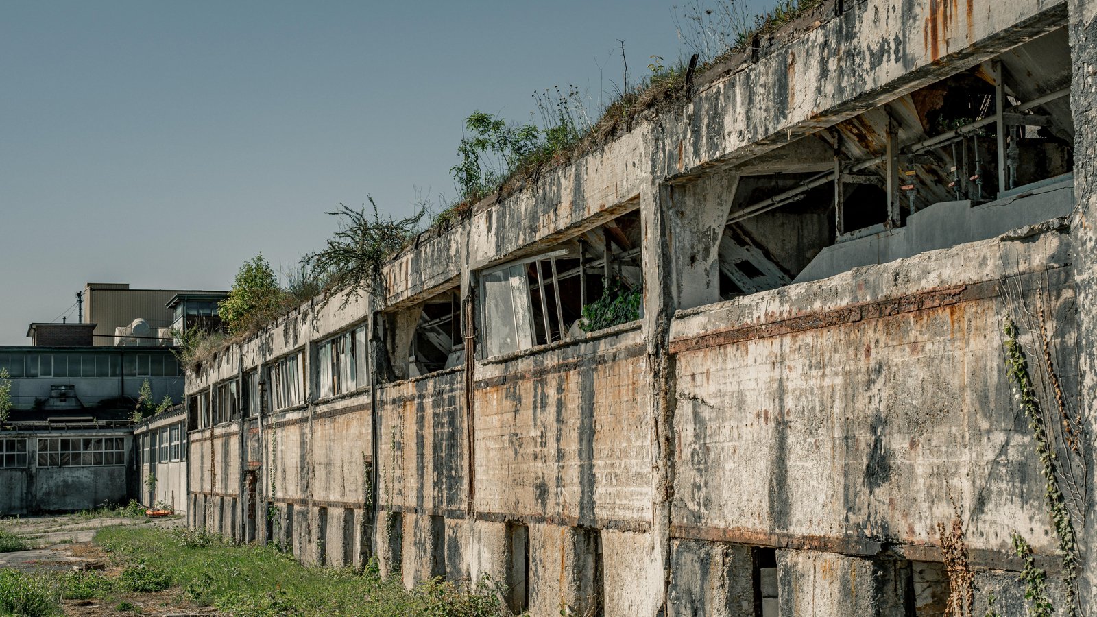 Für die Gartenschau soll ehemalige Vaihinger Industrie teilweise als Lost Places erhalten werden. Aus diesem Fabrikgebäude auf dem Häcker-Areal werden aber die Fenster entfernt.   Foto: Elijah Herth