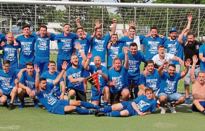 Ein Bild für die Ewigkeit: Diese Spieler haben dazu beigetragen, dass der TSV Häfnerhaslach in der Saison 2016/2017 Meister der Kreisliga B 7 wurde. Fotos: Nachreiner