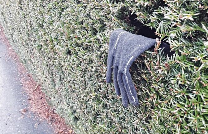 Steckt da etwa jemand in der Hecke fest?  Foto: Rücker