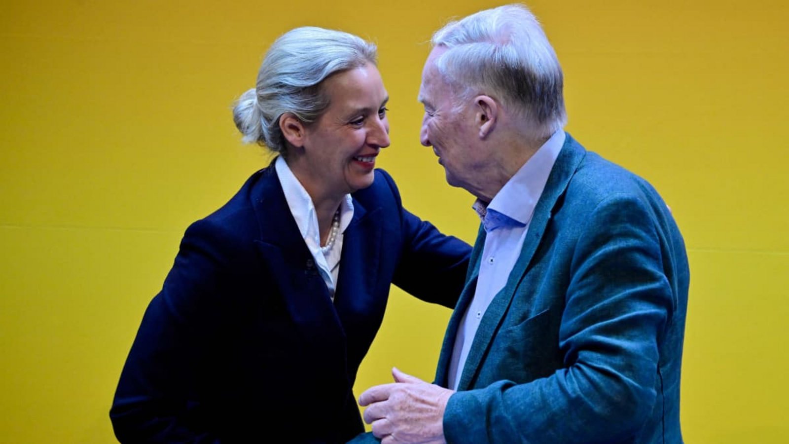 Sind beide von dem Hackerangriff betroffen: AfD-Chefin Alice Weidel (l.) neben dem Ehrenvorsitzenden Alexander Gauland.John MacDougall/afp