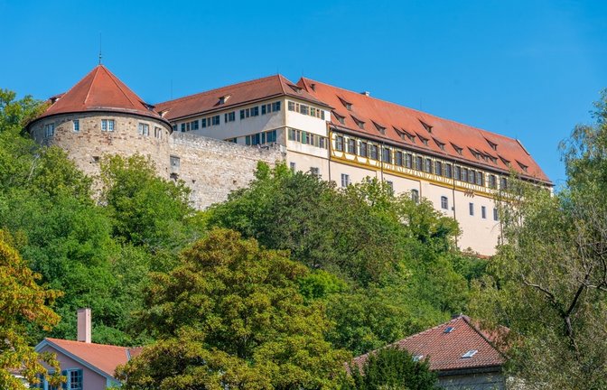Schloss Hohentübingen.<span class='image-autor'>Foto: trabantos / shutterstock.com</span>