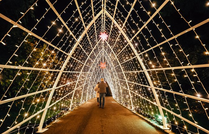 Wandeln im Lichttunnel<span class='image-autor'>Foto: Lichtgut/Christoph Schmidt</span>