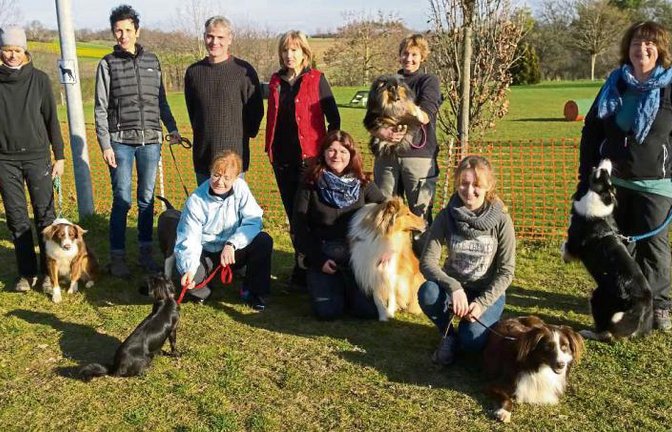 Die Teams des VdH Iptingen und des HSV Mühlacker haben mit der Begleithundeprüfung die Grundlage gelegt, um künftig bei Turnieren antreten zu dürfen. Foto: privat