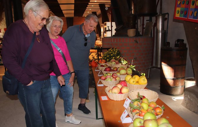 Erstaunliche Vielfalt: Rund 40 Apfelsorten sind beim Apfeltag in der Horrheimer Kelter ausgestellt. <span class='image-autor'>Fotos: Arning</span>