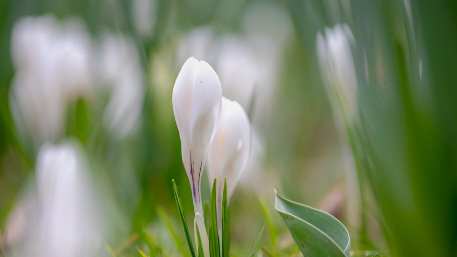 Wann wird es endlich wieder wärmer?Foto: Wut_Moppie / shutterstock.com Wann wird es endlich wieder wärmer?Foto: Wut_Moppie / shutterstock.com