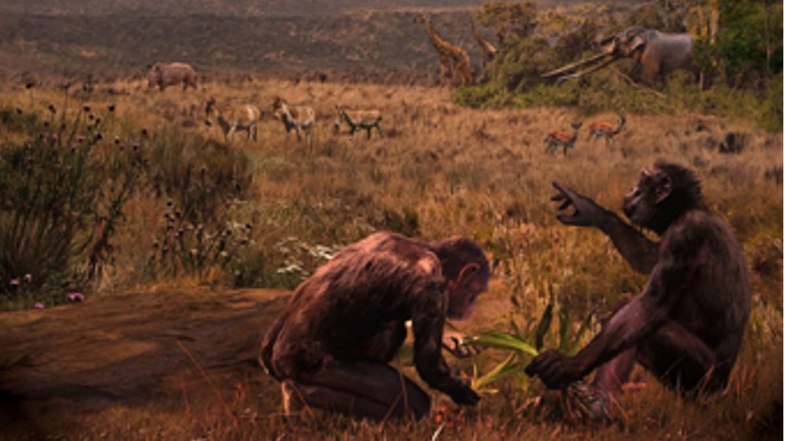 El Graeco (Graecopithecus freybergi) hat vor 7,2 Millionen Jahren in einer staubbelasteten Savannen-Landschaft im Athener Becken gelebt. Der Künstler Velizar Simeonovski hat dieses Gemälde nach wissenschaftlichen Vorgaben von Madelaine Böhme und Nikolai Spassov erstellt (Blick auf die Fundstelle El Graecos, Pyrgos Vassilissis.Foto: © Velizar Simeonovski/Madelaine Böhme/Nikolai Spassov El Graeco (Graecopithecus freybergi) hat vor 7,2 Millionen Jahren in einer staubbelasteten Savannen-Landschaft im Athener Becken gelebt. Der Künstler Velizar Simeonovski hat dieses Gemälde nach wissenschaftlichen Vorgaben von Madelaine Böhme und Nikolai Spassov erstellt (Blick auf die Fundstelle El Graecos, Pyrgos Vassilissis.Foto: © Velizar Simeonovski/Madelaine Böhme/Nikolai Spassov