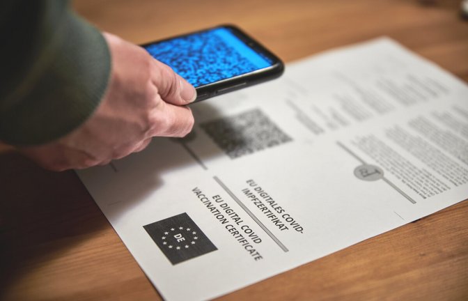 Foto: lupmotion / Shutterstock.com