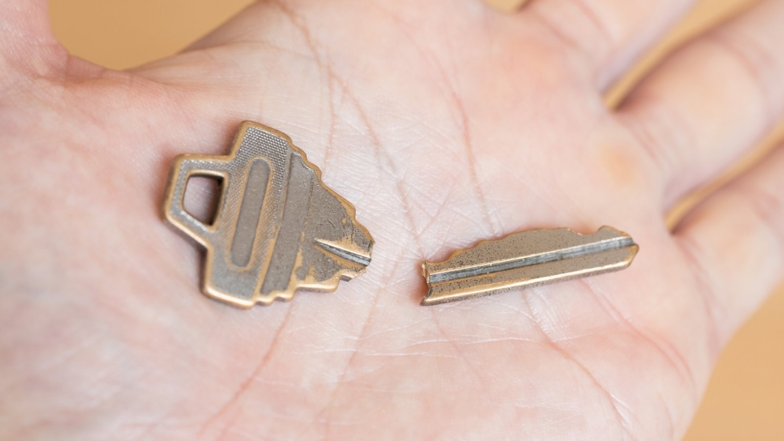 So entsorgen Sie kaputte und alte Schlüssel.Foto: Kelly Marken / shutterstock.com So entsorgen Sie kaputte und alte Schlüssel.Foto: Kelly Marken / shutterstock.com