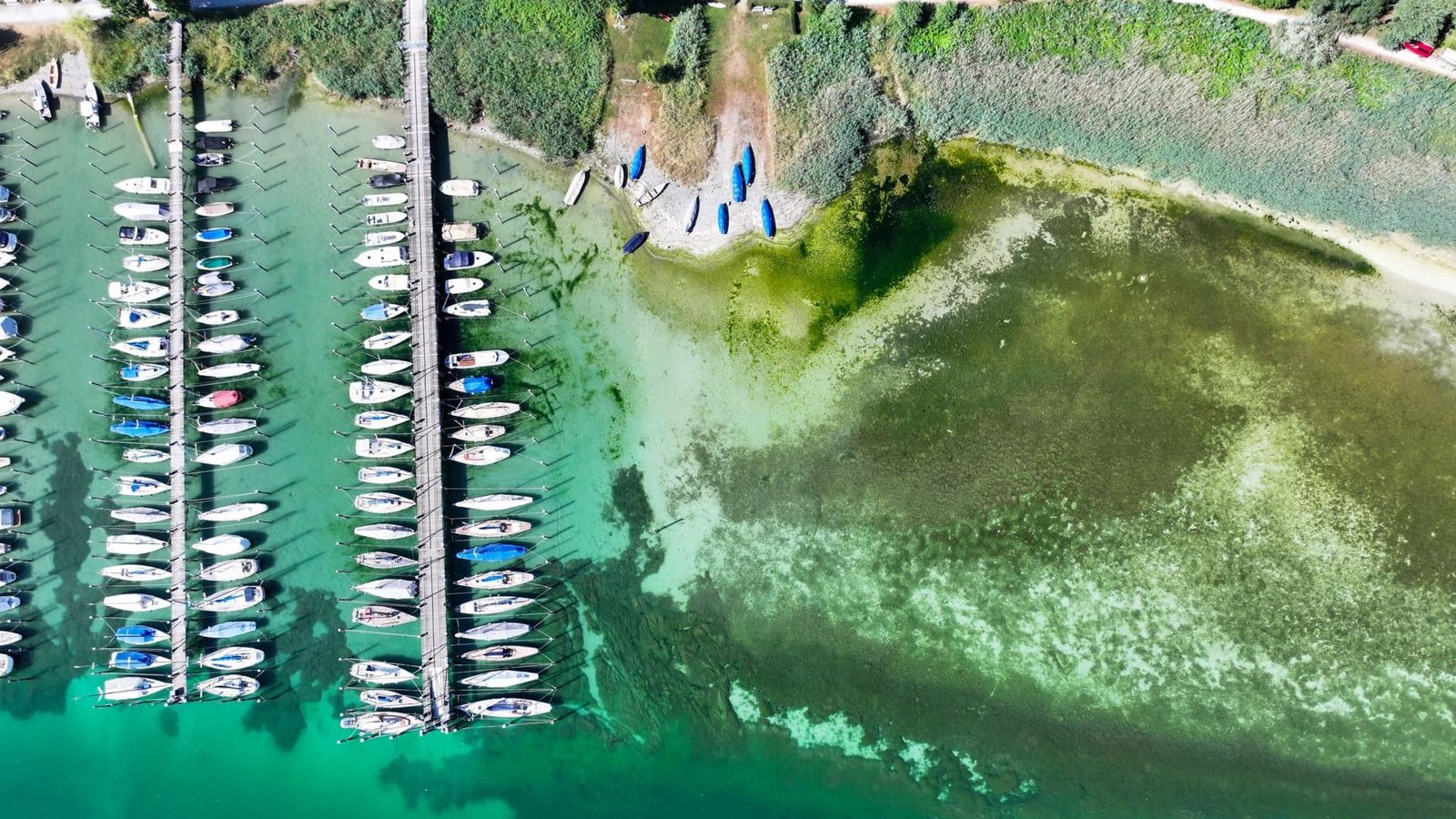 Das Niedrigwasser hat schon erste Auswirkungen.Felix Kästle/dpa