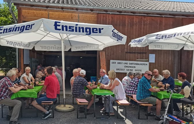 Der Obst und Gartenbauverein Ensingen hat seine Wanderung im Frühjahr diesmal ausgesetzt und dafür eine kleine feine Hocketse im vereinseigenen Schuppen veranstaltet. Der Zuspruch der Besucher war ein klares Zeichen dafür, dass ein gemütliches Zusammensitzen immer gut ankommt.Völlig überraschend sorgte Martin Gutjahr mit seiner „Qetschkommod“ für musikalische Unterhaltung. <span class='image-autor'>Foto: p</span>