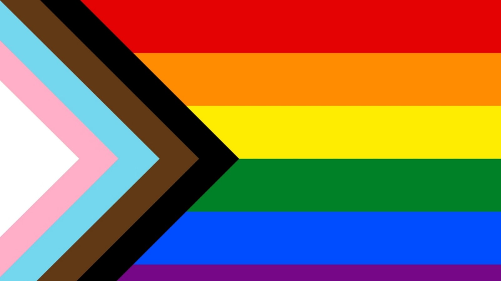 Progress Flag: Die Progress Pride Flagge ist eine Weiterentwicklung der traditionellen Regenbogenflagge. Sie besteht aus den ursprünglichen sechs Streifen sowie einem Winkel aus schwarzen und braunen Streifen und weißen, rosa und hellblauen Streifen in der Mitte. Die schwarzen und braunen Streifen stehen für marginalisierte LGBTQ+-People of Colour, der weiße Streifen für diejenigen, die sich als nicht-binär oder genderqueer identifizieren, und die rosa und hellblauen Streifen für die Transgender-Gemeinschaft. Diese Flagge steht für Inklusivität und Fortschritt innerhalb der LGBTQ+-Gemeinschaft.Foto: Svet foto/Shutterstock