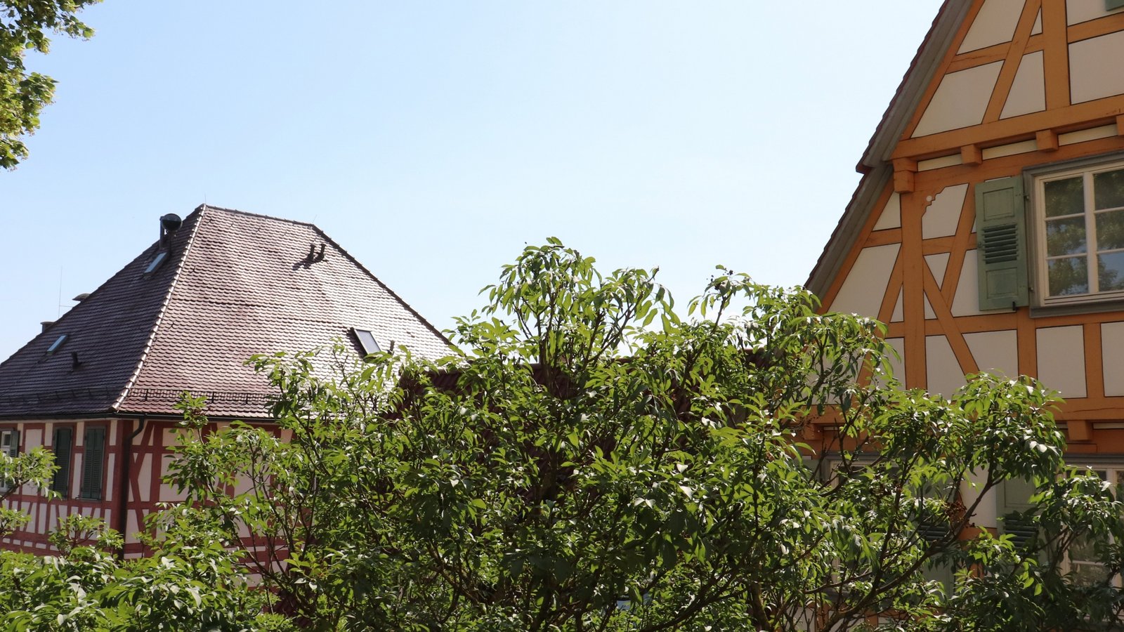Vom Kirchhof schweift das Auge auf das Alte Pfarrhaus (rechts) und den gesuchten Adelssitz. Fotos: Gergen
