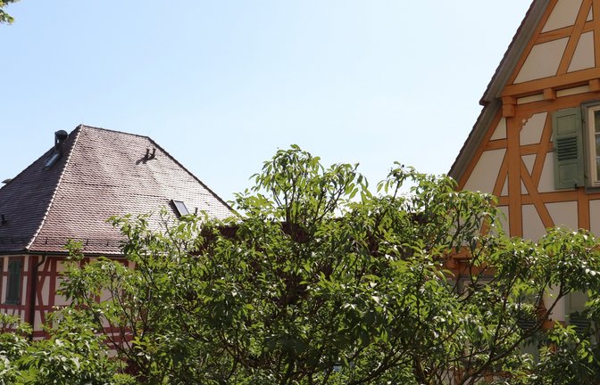 Vom Kirchhof schweift das Auge auf das Alte Pfarrhaus (rechts) und den gesuchten Adelssitz. <span class='image-autor'>Fotos: Gergen</span>