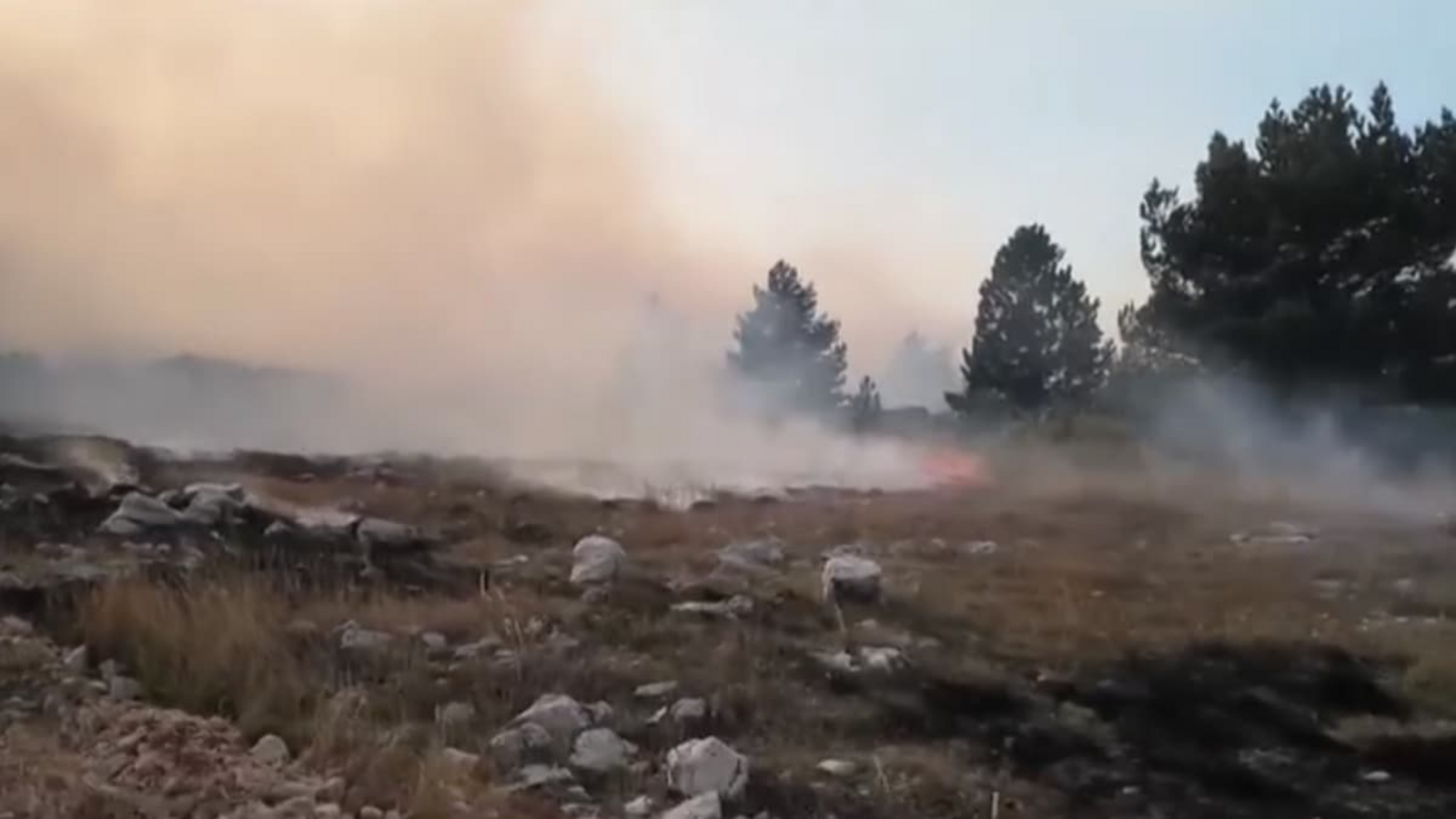 Einheimische und Touristen mussten vor einem heftigen Waldbrand in Kroatien fliehen.KroneTV/Glomex Einheimische und Touristen mussten vor einem heftigen Waldbrand in Kroatien fliehen.KroneTV/Glomex