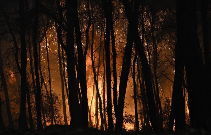 Waldbrände in Griechenland aktuell: Bei einem Waldbrand in der Nähe von Porto Germeno, nordwestlich von Athen Flammen durch einen Wald.<span class='image-autor'>Michael Varaklas/AP/dpa</span>