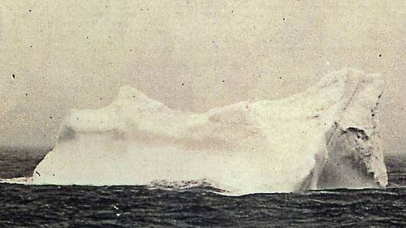 Bildaufnahme (anderer Blickwinkel) des Eisbergs am Morgen des 15. April 1912, wenige Stunden nach dem Untergang der „Titanic“.Foto: Wikipedia commons/Stephan Rehorek