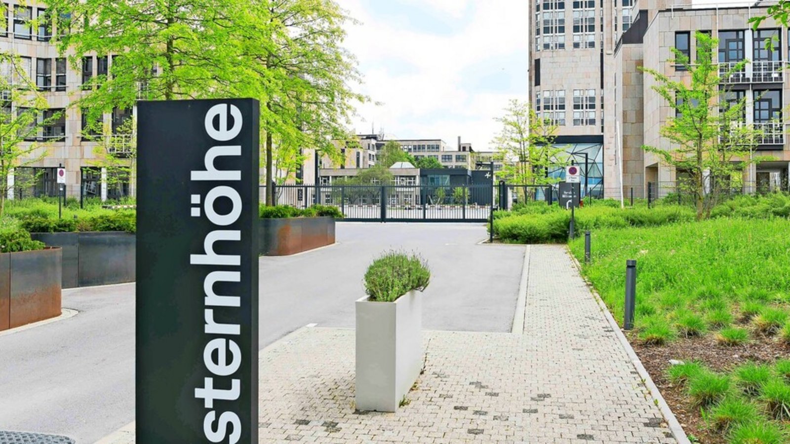 Transformation und Bauen im Bestand: Auf dem Campus Sternhöhe, der ehemaligen Daimler-Zentrale in Möhringen, ziehen Schritt für Schritt neue Unternehmen ein.Foto: Lichtgut/Max Kovalenko