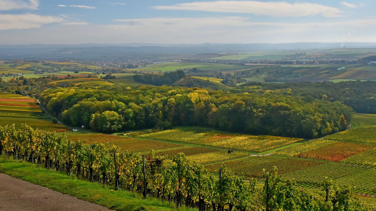 Herrlicher Rundumblick auf dem Panoramaweg.Foto: Werner Sippel Herrlicher Rundumblick auf dem Panoramaweg.Foto: Werner Sippel