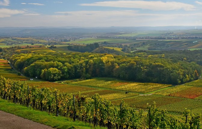 Herrlicher Rundumblick auf dem Panoramaweg.<span class='image-autor'>Foto: Werner Sippel</span>