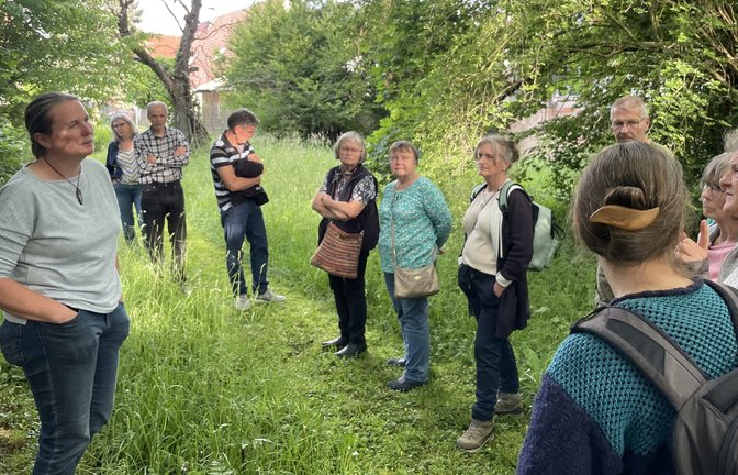 Expertin Michaele Senk gibt Gartentipps.  <span class='image-autor'>Foto: Brüx</span>