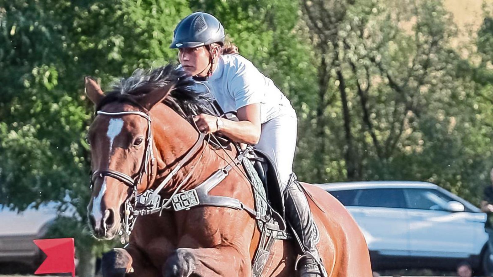 Eva-Maria Lühr (RFV Pfalzgrafenweiler) auf Concrue hat ihren Titel beim S*-Springen mit Siegerrunde verteidigt. Foto: Simecek Eva-Maria Lühr (RFV Pfalzgrafenweiler) auf Concrue hat ihren Titel beim S*-Springen mit Siegerrunde verteidigt. Foto: Simecek