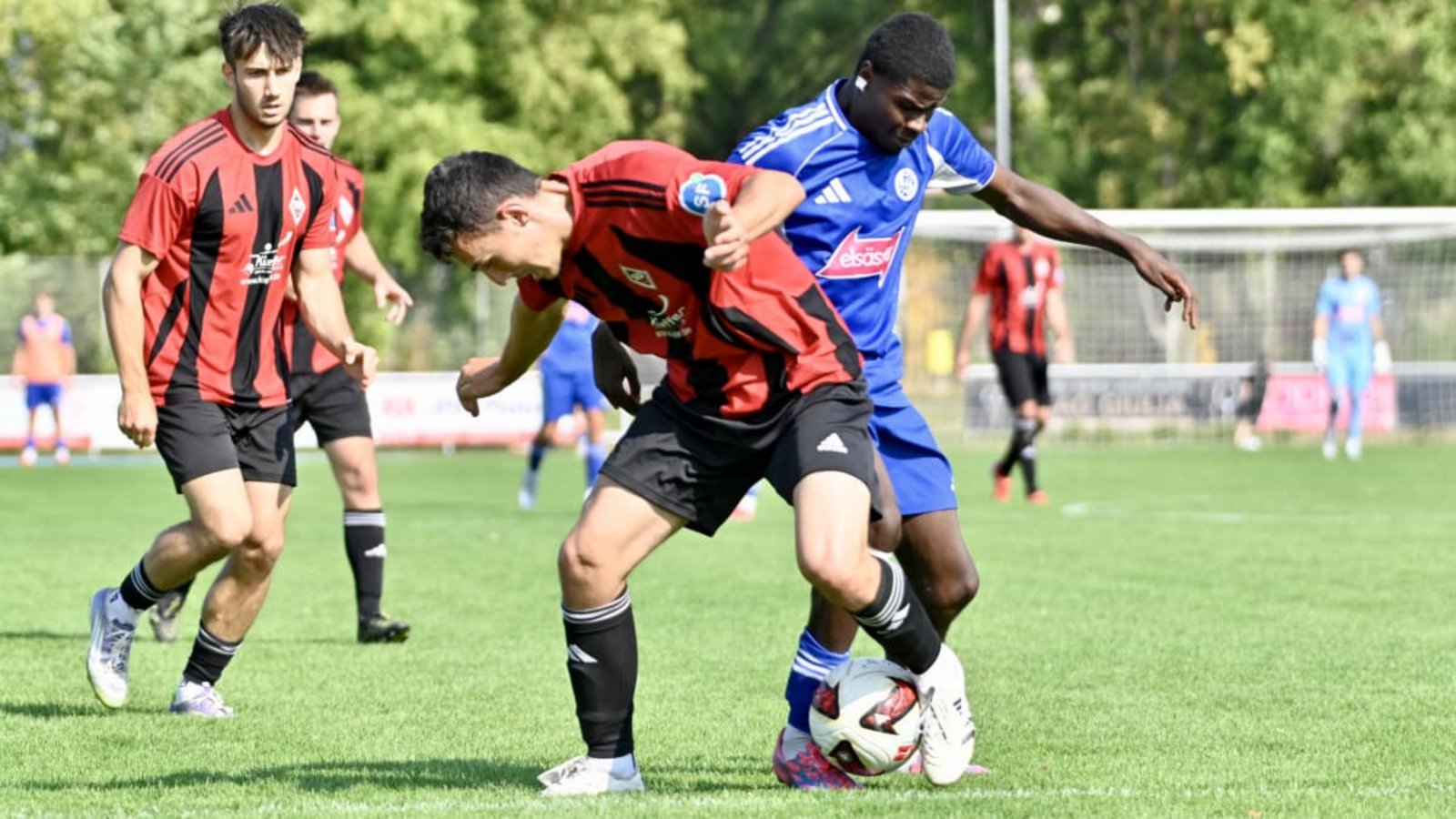 Oliab Calemba (rechts) unterliegt mit dem VfL Sindelfingen den SF Dorfmerkingen.Kevin Schuon Oliab Calemba (rechts) unterliegt mit dem VfL Sindelfingen den SF Dorfmerkingen.Kevin Schuon