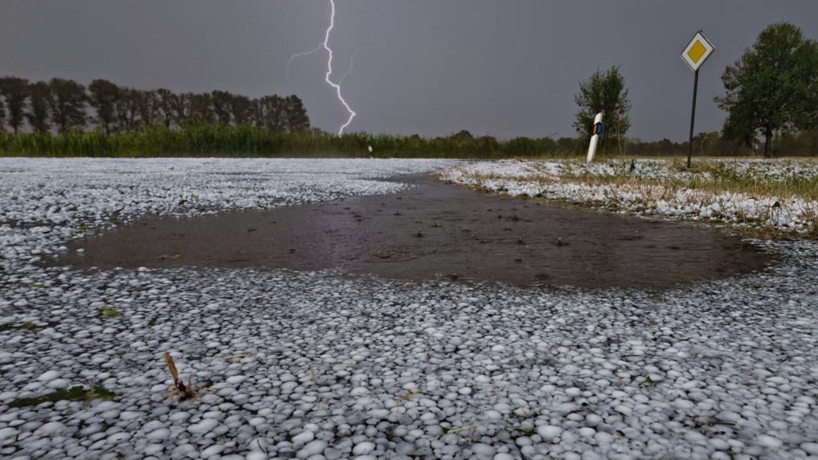 Hagelkörner liegen auf einer Fahrbahn bei Wagenfeld in Niedersachsen, während sich ein Blitz im Hintergrund entlädt. Schwere Unwetter sind über Teilen Niedersachsens niedergegangen.Thomas Lindemann/Nord-West-Media TV /dpa Hagelkörner liegen auf einer Fahrbahn bei Wagenfeld in Niedersachsen, während sich ein Blitz im Hintergrund entlädt. Schwere Unwetter sind über Teilen Niedersachsens niedergegangen.Thomas Lindemann/Nord-West-Media TV /dpa