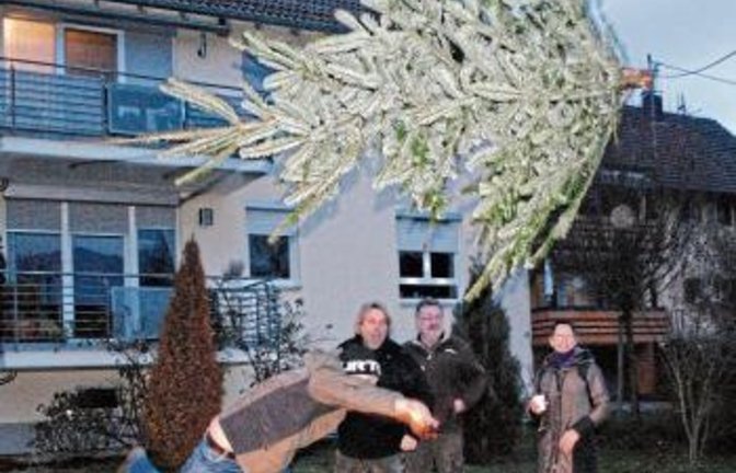 Weitwurf der Christbäume.  Foto: Stahlfeld