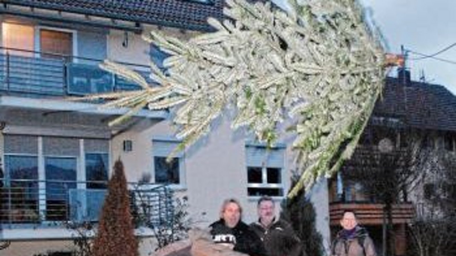 Weitwurf der Christbäume. Foto: Stahlfeld Weitwurf der Christbäume. Foto: Stahlfeld