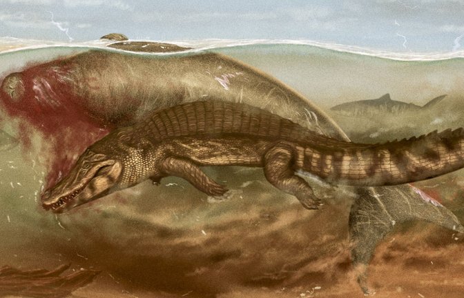 Die urzeitliche Seekuh aus der Agua-Clara-Formation wird von einer unbekannten Krokodilart angegriffen. Aasfressende Haie bringen sich schon in Position, um ein Stück von der großen Beute zu erhaschen.<span class='image-autor'>Foto: Jaime Bran Sarmiento</span>