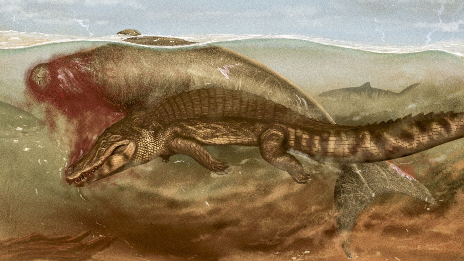 Die urzeitliche Seekuh aus der Agua-Clara-Formation wird von einer unbekannten Krokodilart angegriffen. Aasfressende Haie bringen sich schon in Position, um ein Stück von der großen Beute zu erhaschen.Foto: Jaime Bran Sarmiento Die urzeitliche Seekuh aus der Agua-Clara-Formation wird von einer unbekannten Krokodilart angegriffen. Aasfressende Haie bringen sich schon in Position, um ein Stück von der großen Beute zu erhaschen.Foto: Jaime Bran Sarmiento