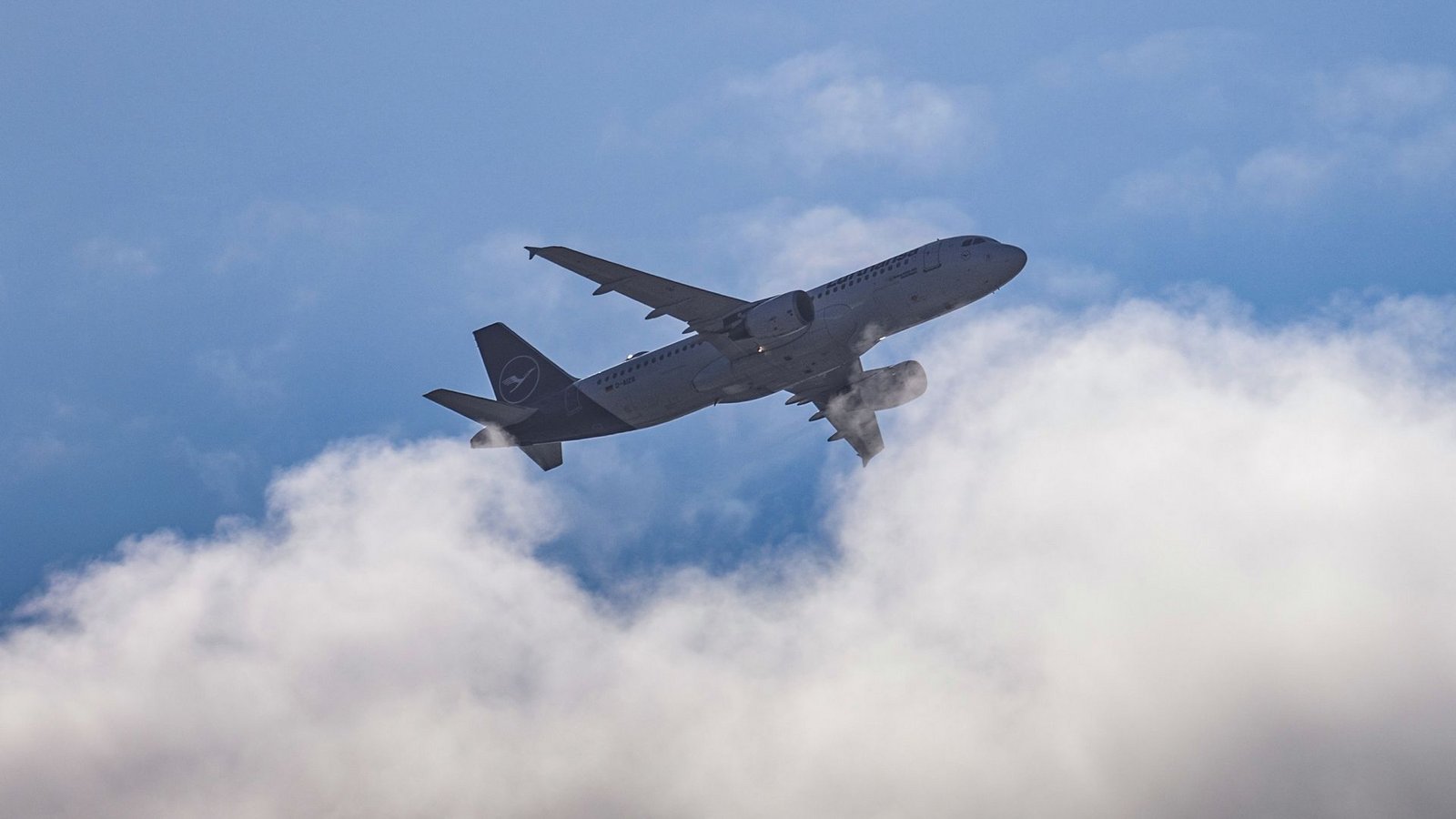 Das Flugzeug musste nach Frankfurt zurückkehren. (Symbolbild)Foto: dpa/Robert Michael Das Flugzeug musste nach Frankfurt zurückkehren. (Symbolbild)Foto: dpa/Robert Michael